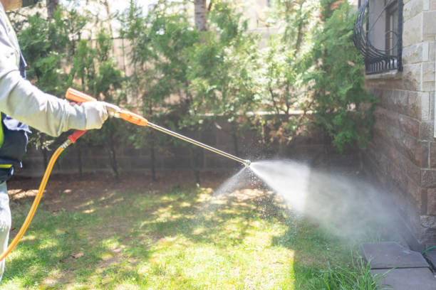 Best Emergency Pest Control  in North Weeki Wachee, FL