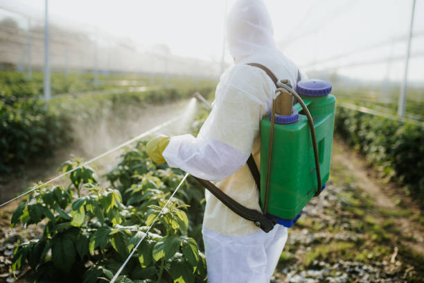 North Weeki Wachee, FL Pest Control Company